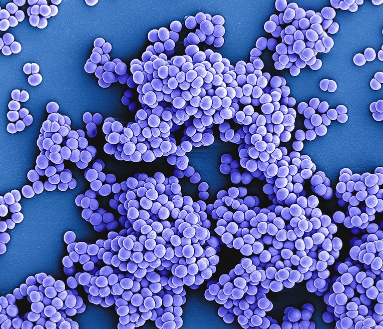 Automated Data Quality Checks